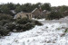 Snow Kythera 2017 