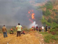 The fires in Mitata, August 2010 