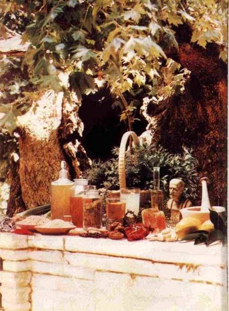 Herbal remedies and medicines at the Tree of Hippocrates, on the island of Cos. 