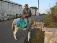 man on donkey, Potamos 