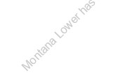 Montana Lower has received national recognition for excellence in a range of fields 