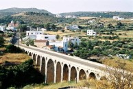Bridge at Katouni 