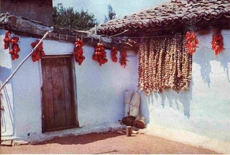 Hanging garlic and peppers. 