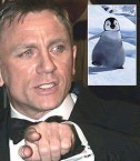 Bond shaken up by.....penguins 