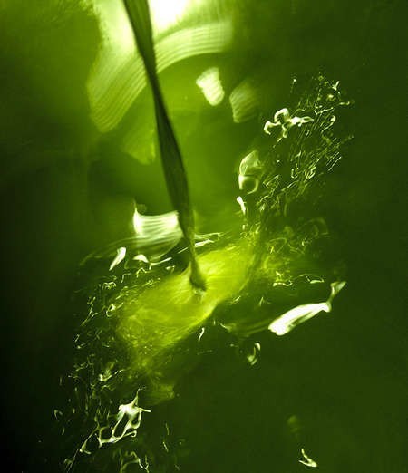 Dimitris Koutrafouris: Olive oil pouring from the press 