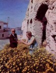Writer Jan Lipman, and Mr George Calligeros, gather marguerite daisies... 