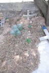 Koronaiou grave, Potamos (2 of 2) 