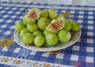 Figs from Mitata 