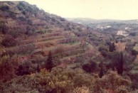 Karavas in 1974 
