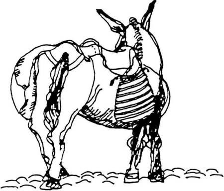 Donkey icon of the Karavaitiko Symposium. 