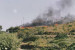 Πυρκαγιά Ιούνιος 2003 